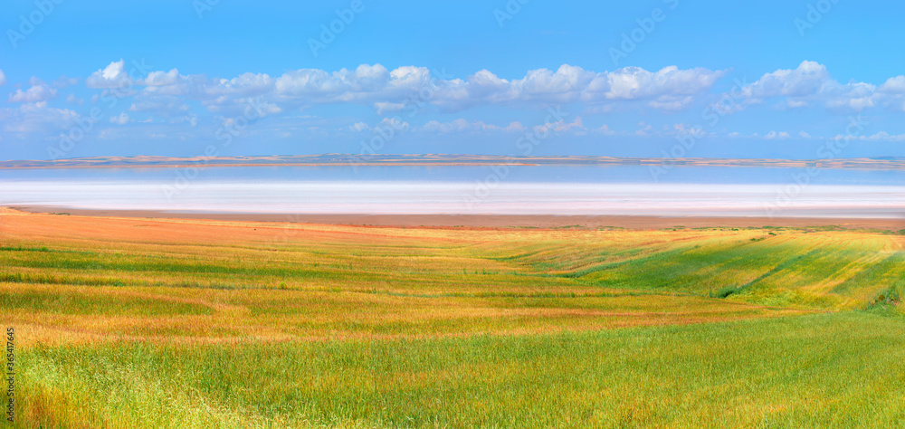 Beautiful landscape with panoramic view of Salt Lake and amazing white clouds on the foreground golden wheat field - Ankara, Turkey
