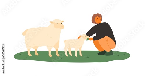 Farmer female feeding lamb and sheep by green grass vector flat illustration....
