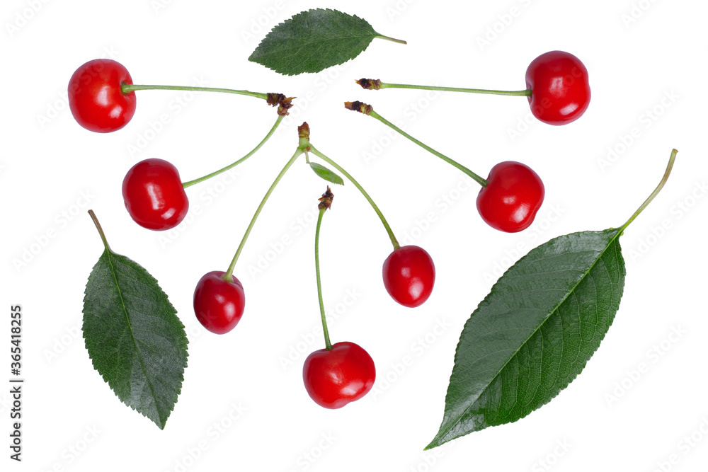 Cherries with leaf isolated on white background Cherries with leaf isolated on white background