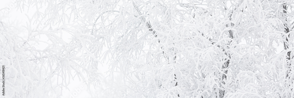 Snow and rime ice on the branches of bushes. Beautiful winter background with trees covered with hoarfrost. Plants in the park are covered with hoar frost. Cold snowy weather. Cool frosting texture. Snow and rime ice on the branches of bushes. Beautiful winter background with trees covered with hoarfrost. Plants in the park are covered with hoar frost. Cold snowy weather. Cool frosting texture.