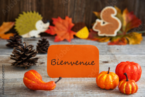 Orange Label With French Text Bienvenue Means Welcome. Autumn Decoration Like Pumpkin, Hedgehog And Squirrel