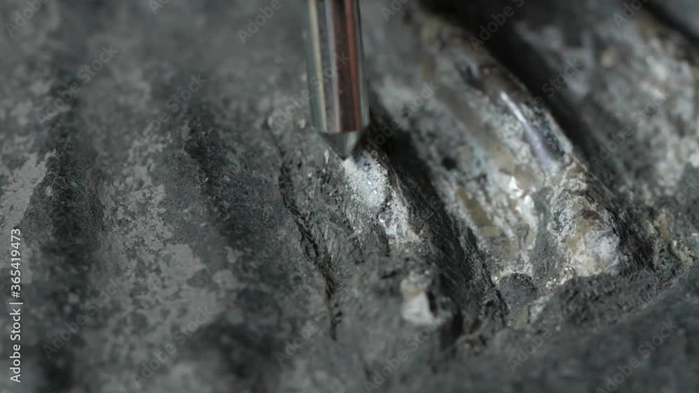 Macro shot of pneumatic pen breaking up rock and revealing an ammonite fossil Macro shot of pneumatic pen breaking up rock and revealing an ammonite fossil