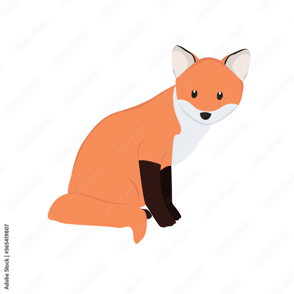 Obraz premium Fox Illustration