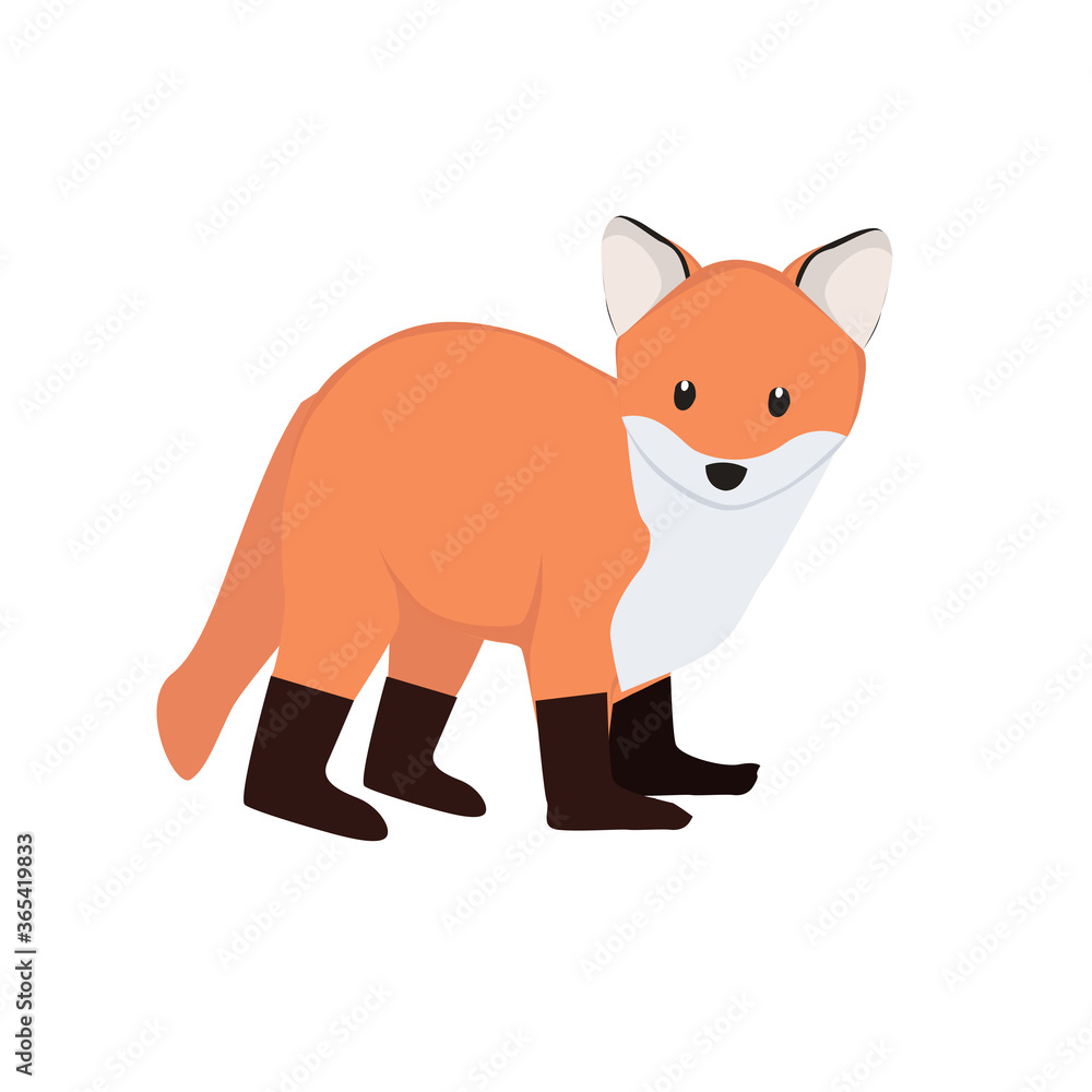 Fox Illustration Fox Illustration