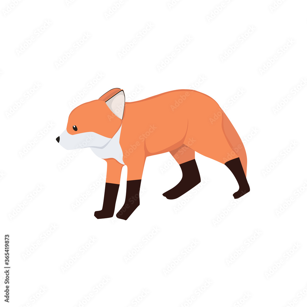 Fototapeta premium Fox Illustration
