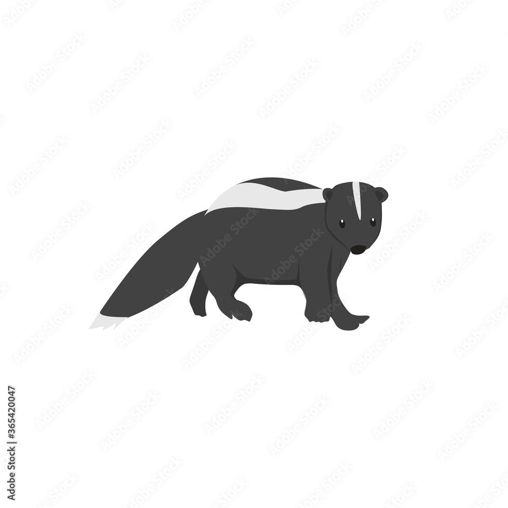 Skunk Illustration
