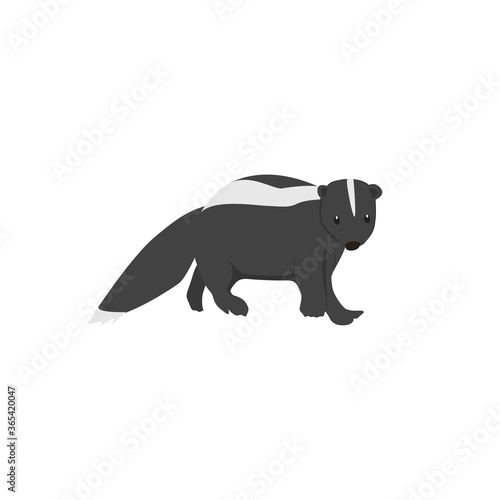 Skunk Illustration 
