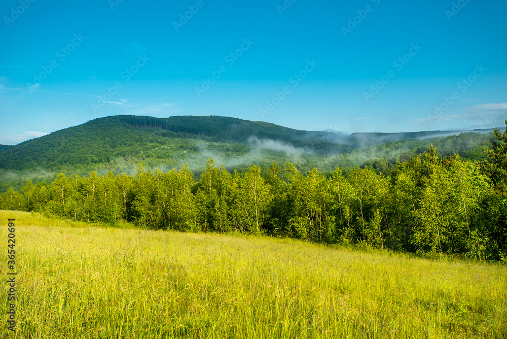 panorama of beautiful countryside. Beautiful summer landscape. grassy field on a background of trees and mountains.
