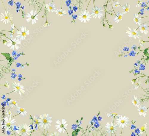 Frame made of watercolor flowers chamomile and veronica..For congratulations, invitations, anniversaries, weddings, birthday  © Olga F