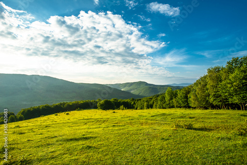 panorama of beautiful countryside. Beautiful summer landscape. grassy field on a background of trees and mountains and blue sky.