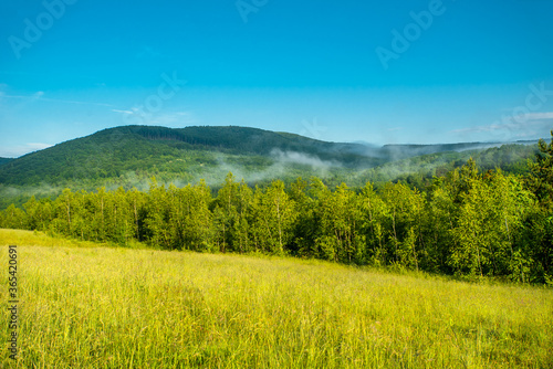 panorama of beautiful countryside. Beautiful summer landscape. grassy field on a background of trees and mountains.