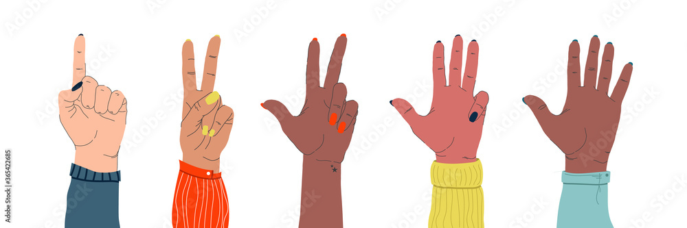 Obraz premium Set of female tender hands of different nationalities showing different gestures on an isolated white background. The concept of feminism and independence, female friendship and movement. vector 