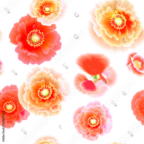 Pink and red large flowers of poppies of different transparency.Seamless texture on a white background.A scattering of individual flowers and petals in the dew.Delicate, elegant graphics © Irina