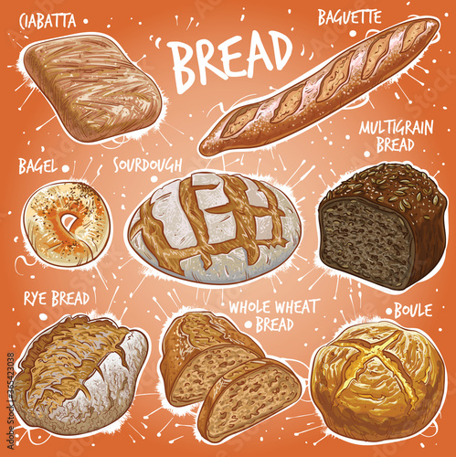 Hand drawn vector illustration set of bread varieties.