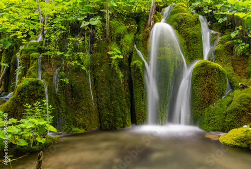 Wasserfall Plitvicer Seen Kroatien Naturschutzgebiet Nationalpark Moos fließen Pflanzen Idyll Biotp Reinheit pur grün Langzeitbelichtung Schönheit Schöpfung türkis Attraktion Sehenswürdigkeit Tourist