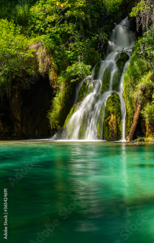 Wasserfall Plitvicer Seen Kroatien Naturschutzgebiet Nationalpark Moos fließen Pflanzen Idyll Biotp Reinheit pur grün Langzeitbelichtung Schönheit Schöpfung türkis Attraktion Sehenswürdigkeit Tourist