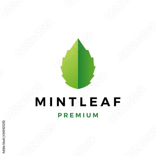 mint leaf logo vector icon illustration