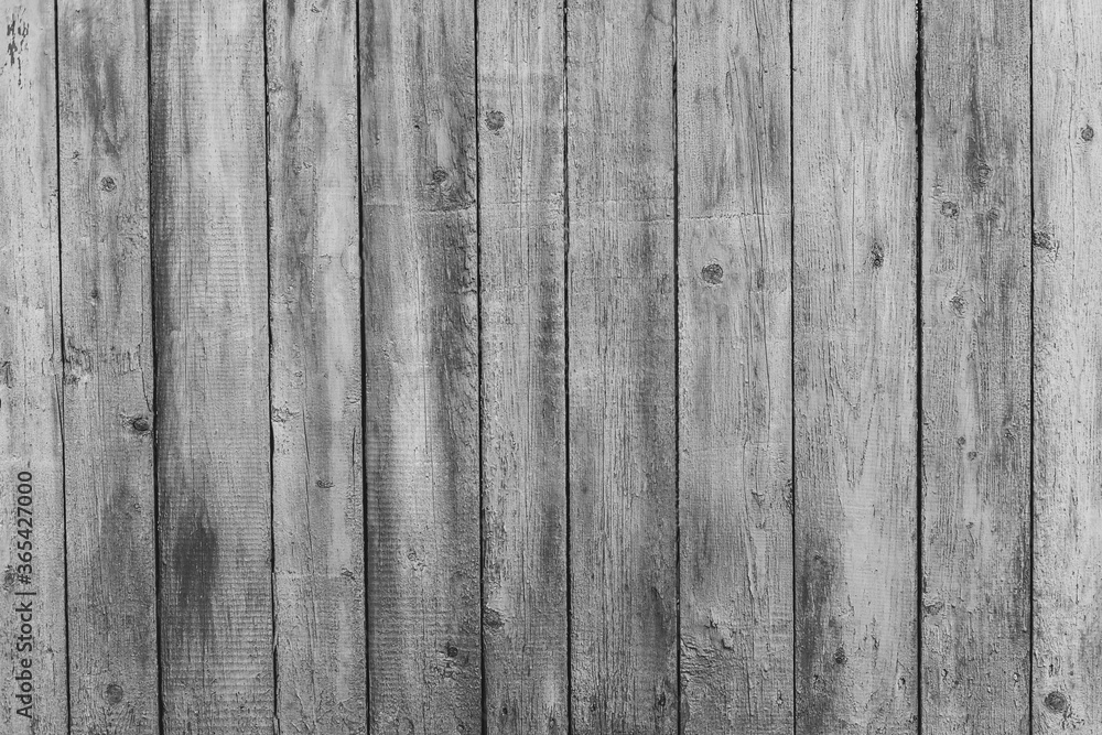 Rustic wood texture or background with scratched paint. Monochrome. Rustic wood texture or background with scratched paint. Monochrome.