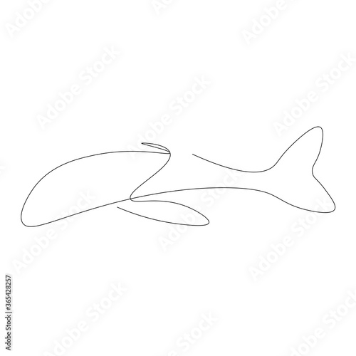 Ocean animal whale on white background. Vector illustration