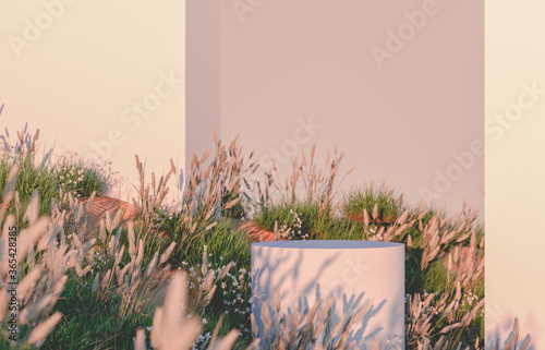 Fototapeta Naklejka Na Ścianę i Meble -  Natural beauty 3d podium backdrop with wild flower grass field background.