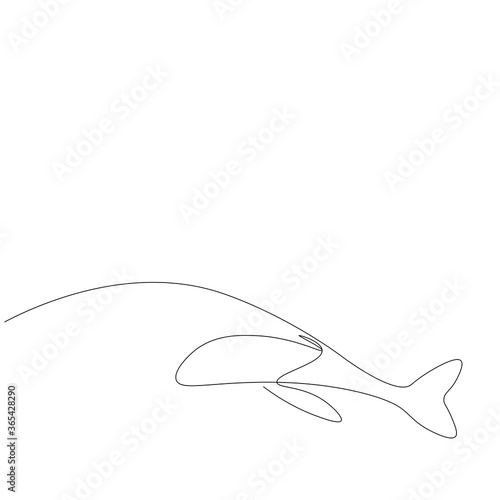 Fototapeta Naklejka Na Ścianę i Meble -  Ocean animal whale line drawing. Vector illustration