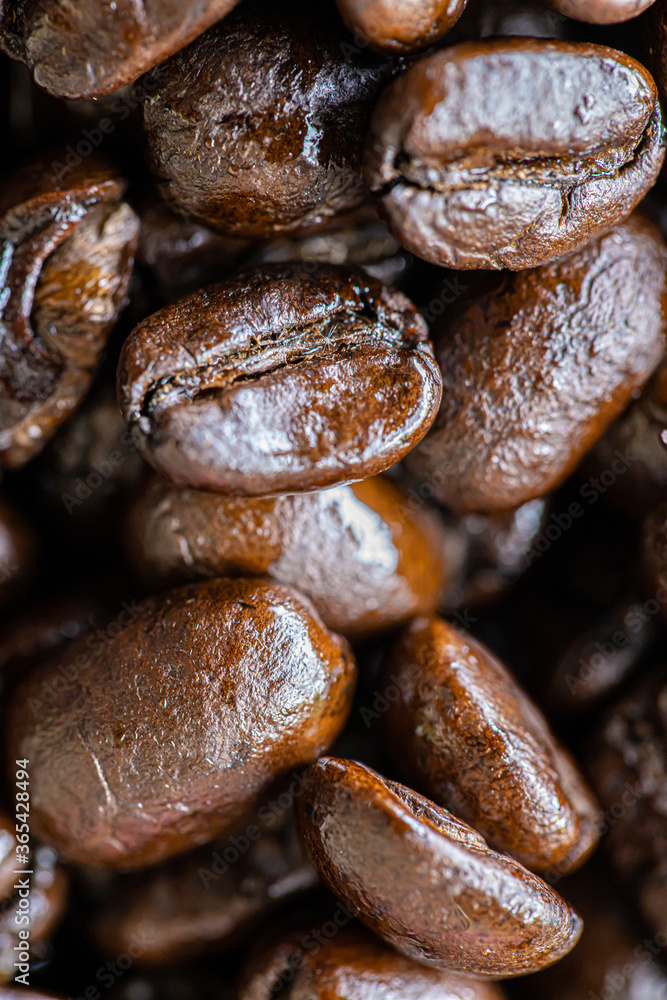 Close up coffee beans with blur foreground and background Close up coffee beans with blur foreground and background