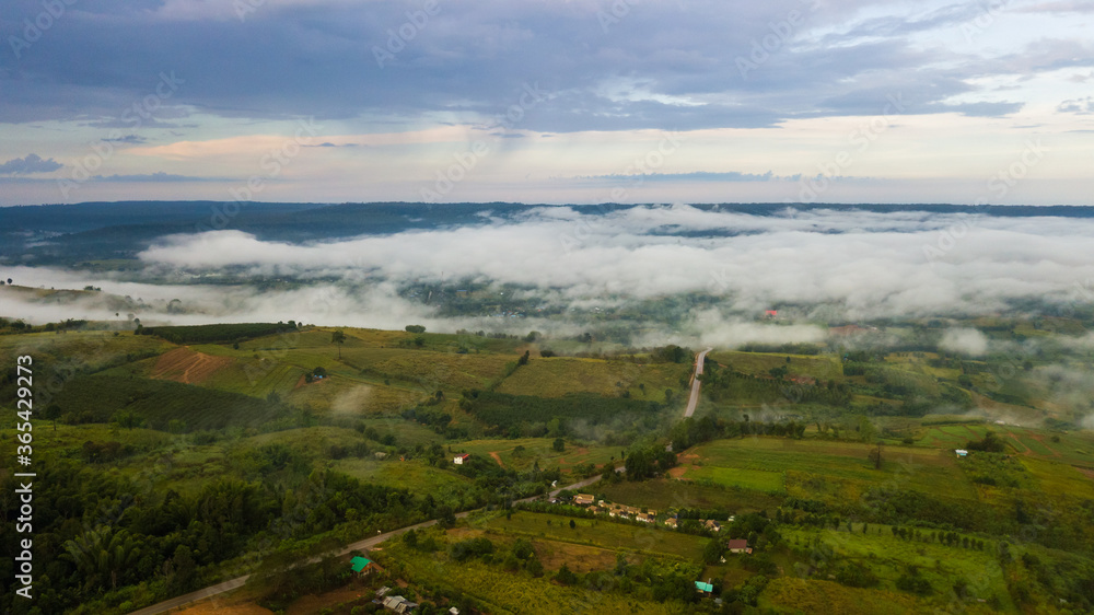 Aerial view of sea of fog in the forest at north in Thailand, Nature Background