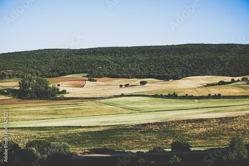 Landscape of countryside in Spain
