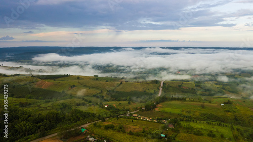 Aerial view of sea of fog in the forest at north in Thailand, Nature Background