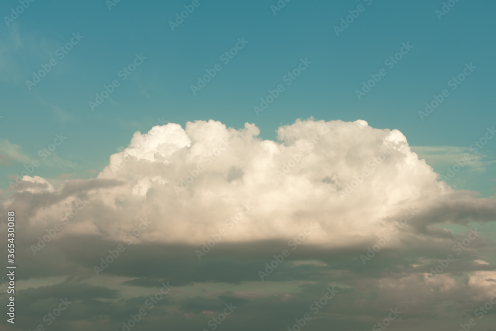 Fototapeta premium A large white cloud against the blue sky.