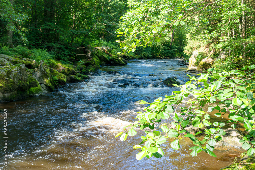 The romantic river ilz in the bavarian forest The romantic river ilz in the bavarian forest