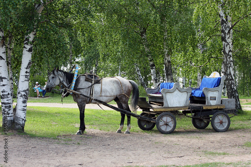 Old russian traditional carriage with horse on background of one of the Taltsy Architectural-Ethnographic Museum.