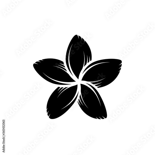 Vintage blooming plumeria flowers concept on white background isolated Floral tropical flower. frangipani element Idea for business visit card, typography vector, print for t-shirt.