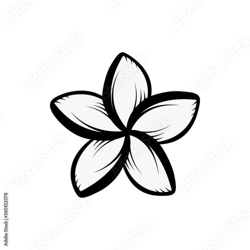 Vintage blooming plumeria flowers concept on white background isolated Floral tropical flower. frangipani element Idea for business visit card, typography vector, print for t-shirt.
