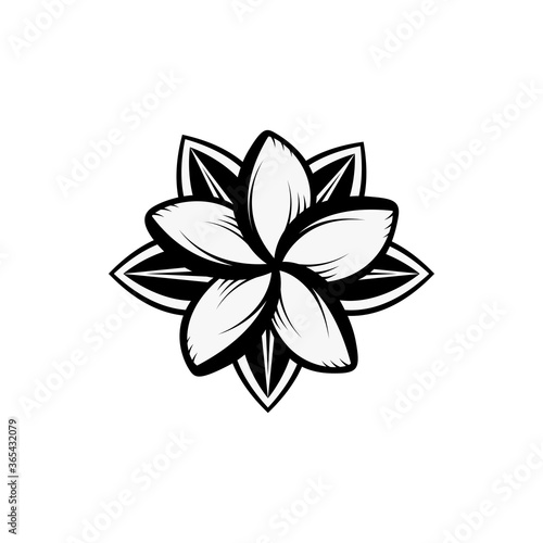 Vintage blooming plumeria flowers concept on white background isolated Floral tropical flower. frangipani element Idea for business visit card  typography vector  print for t-shirt.