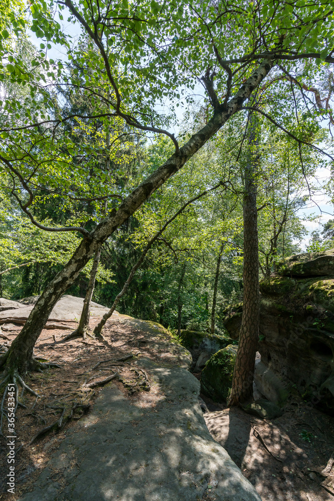 Rock labyrinth in the Saxon Switzerland Rock labyrinth in the Saxon Switzerland