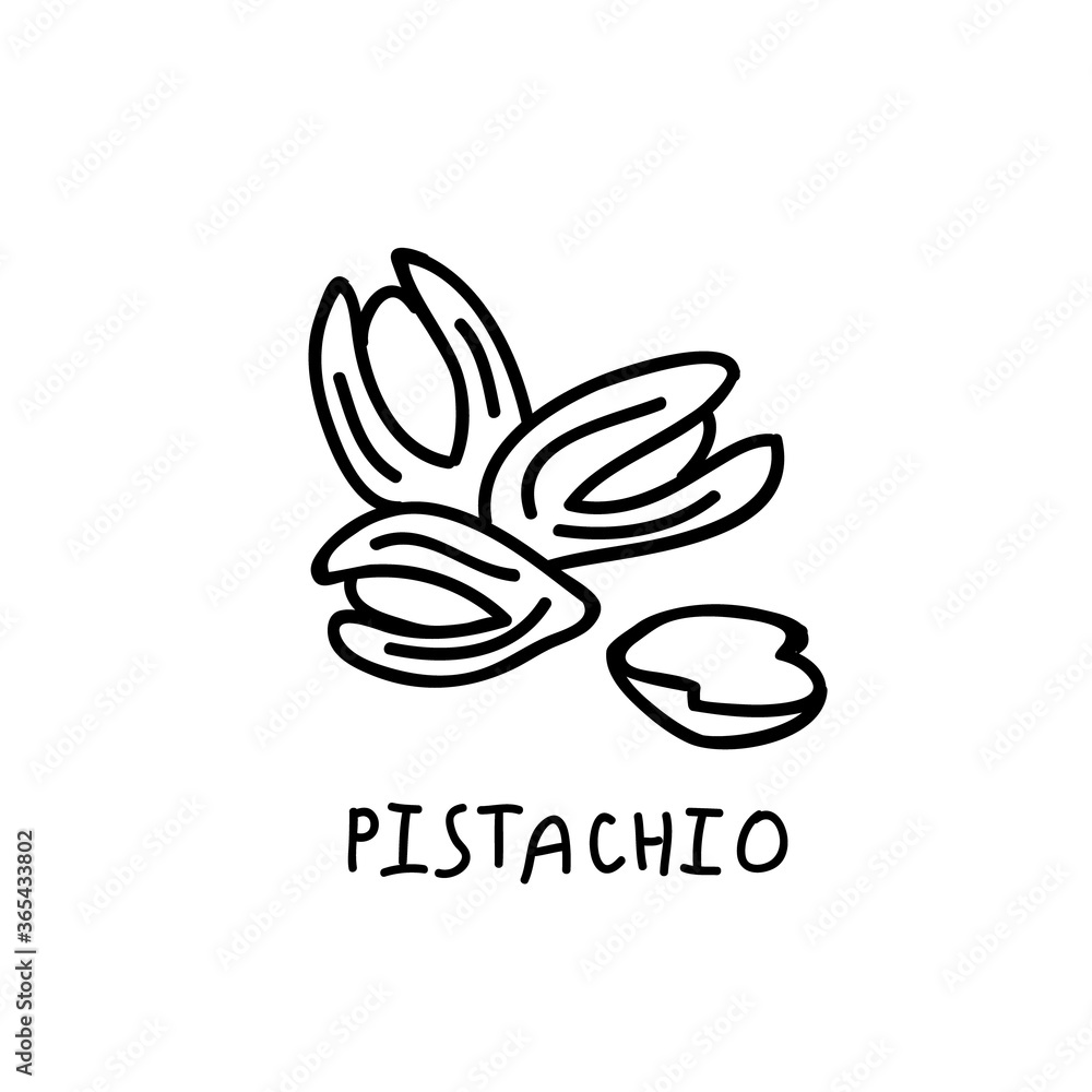 Pistachio vector icon. Hand drawn nut illustration. Pistachio vector icon. Hand drawn nut illustration.