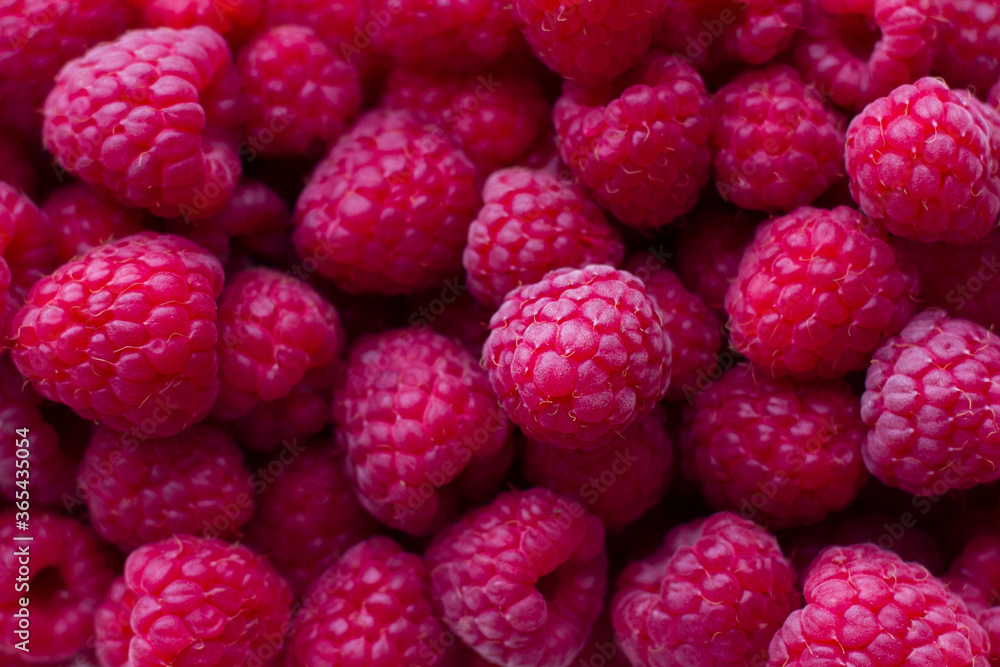 Raspberry fruit background. Summer mood. Raspberry fruit background. Summer mood.