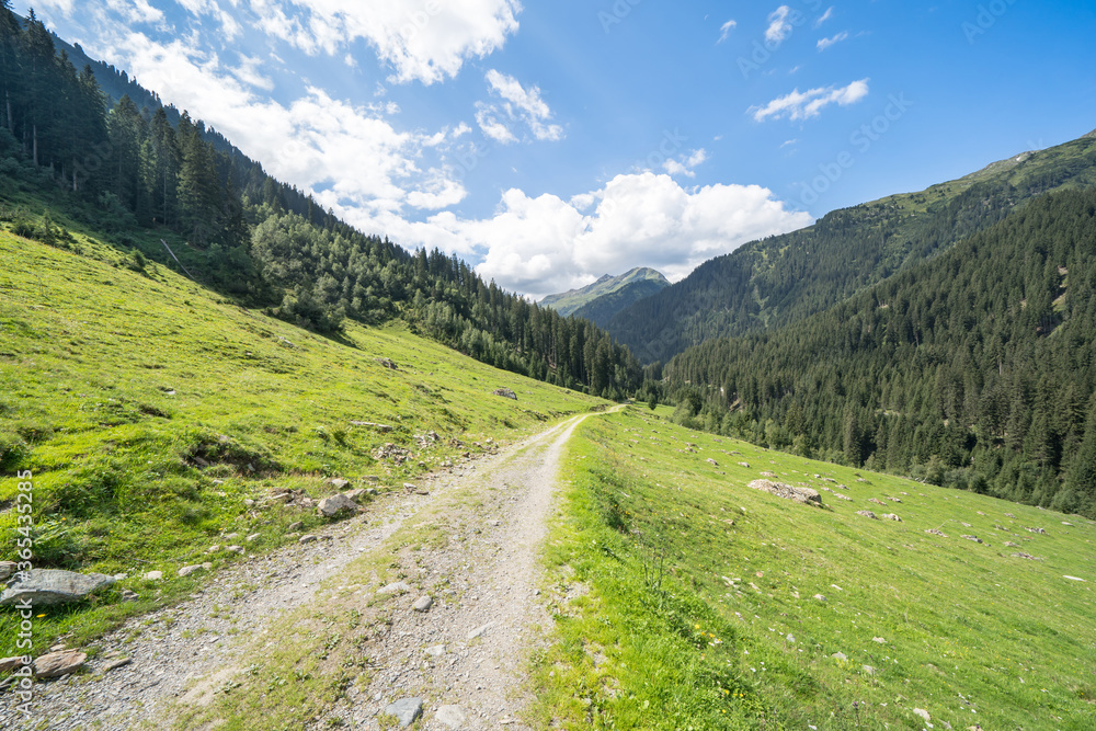 Hiking path in Alps