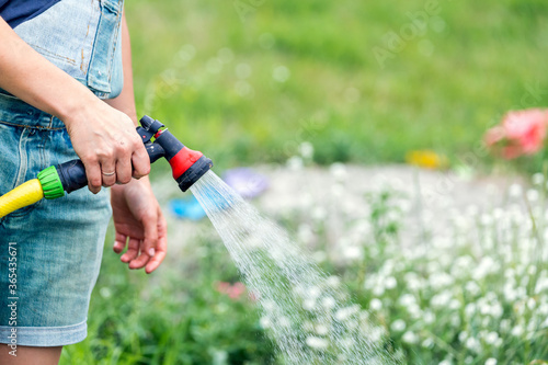 Close-up of a woman housewife watering the plants in the garden from a hose with a nozzle with a spray. Pouring plants in your home garden