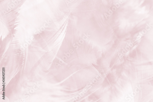  violet feather pattern texture background , pastel color style