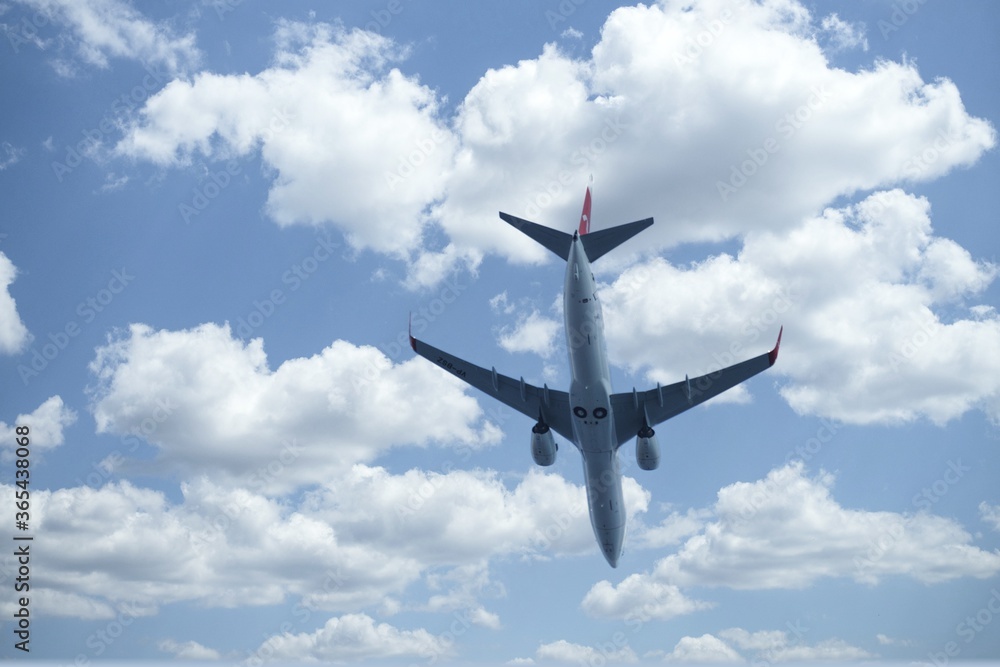 Fototapeta premium Airline.