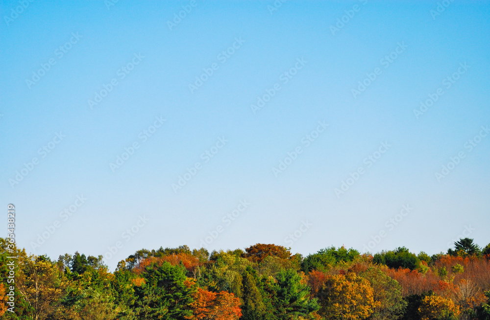 Fototapeta premium 秋 素材