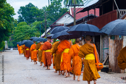 Fotografija buddhist monks walking in the rain for morning alms in Luang Prabang, laos