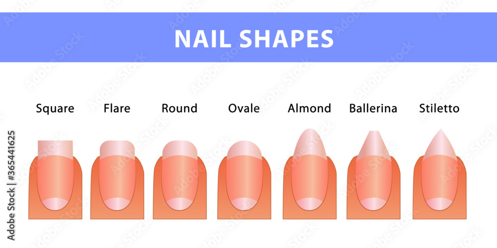 The most popular forms of nails Different types of nails Manicure