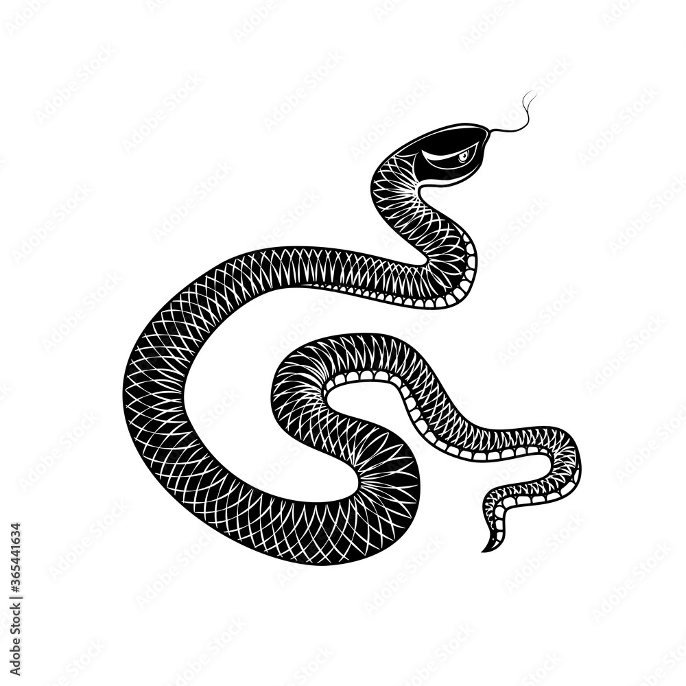 Fototapeta premium ..Hand drawn snake. Monochrome illustration. Graphic vintage sketch. Isolated object on a white background. .