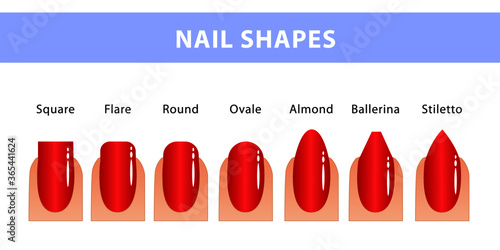 The most popular forms of nails. Different types of nails. Manicure Guide.