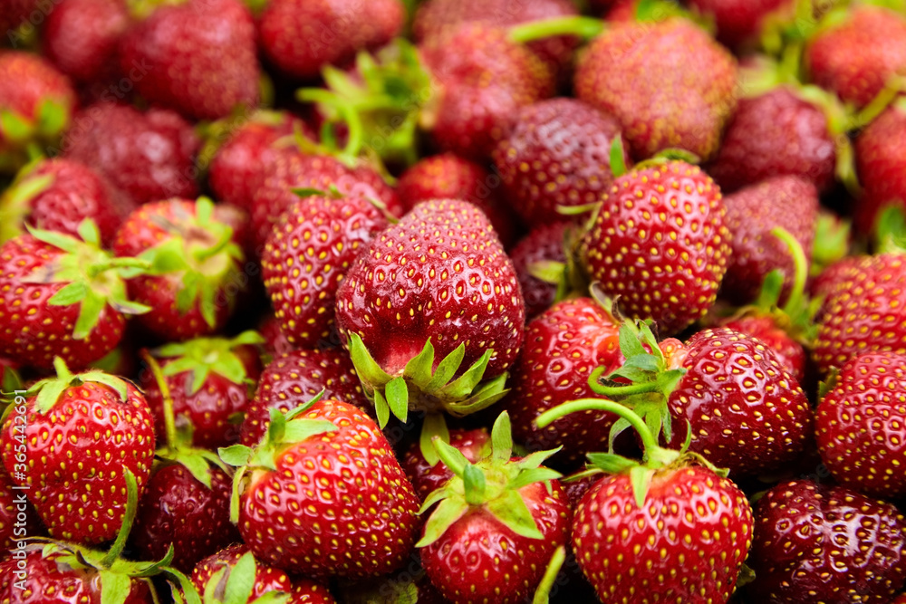 Strawberry background. Heap of red ripe strawberries, fresh summer berries Strawberry background. Heap of red ripe strawberries, fresh summer berries