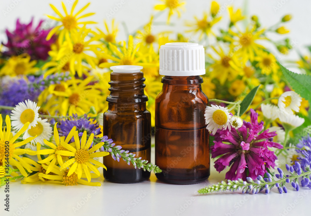 Two small glass bottles with essential oil (herbal tincture, extract, infusion) and wild flowers. Aromatherapy, homemade spa and herbal medicine ingredients. Copy space. Two small glass bottles with essential oil (herbal tincture, extract, infusion) and wild flowers. Aromatherapy, homemade spa and herbal medicine ingredients. Copy space.