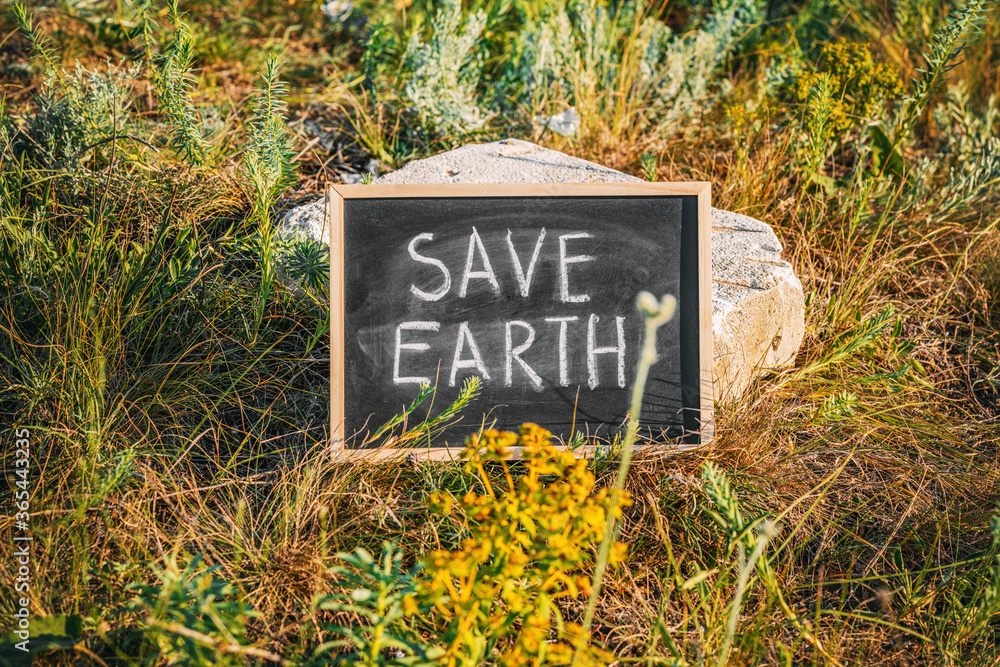 Chalkboard inscription save the earth on the background of nature